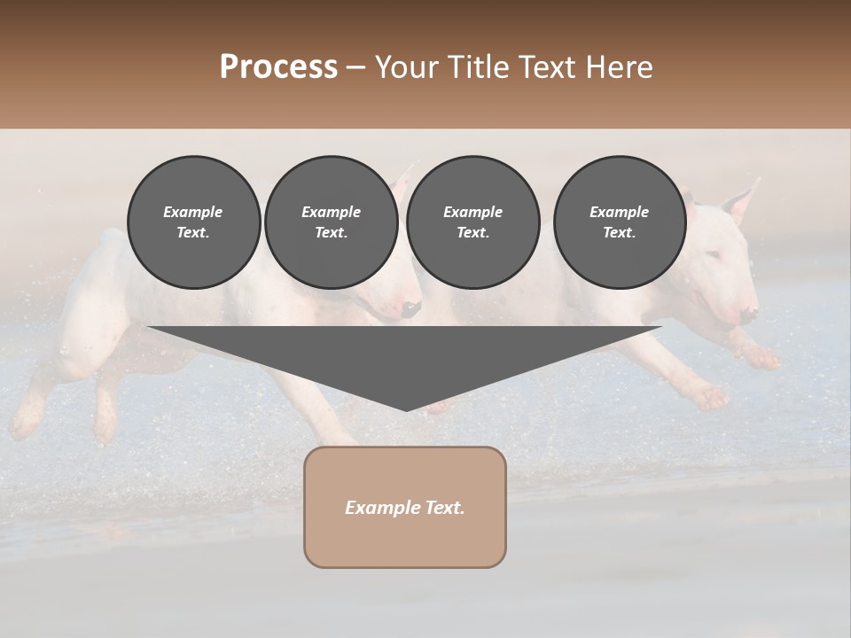 Life Sea Coast PowerPoint Template