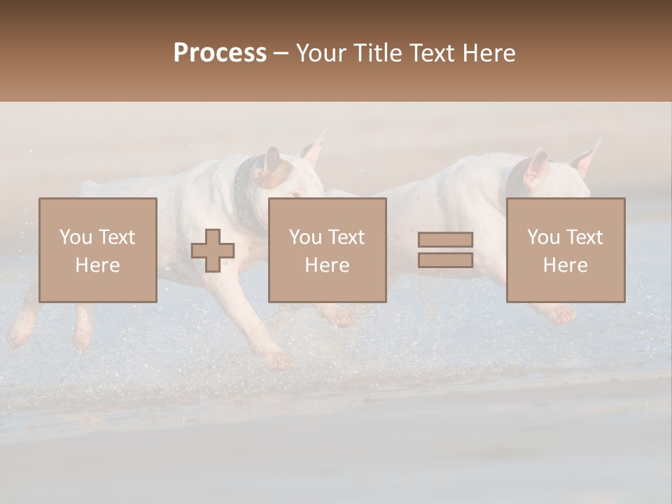 Life Sea Coast PowerPoint Template
