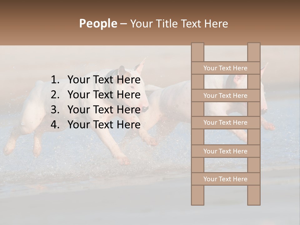 Life Sea Coast PowerPoint Template