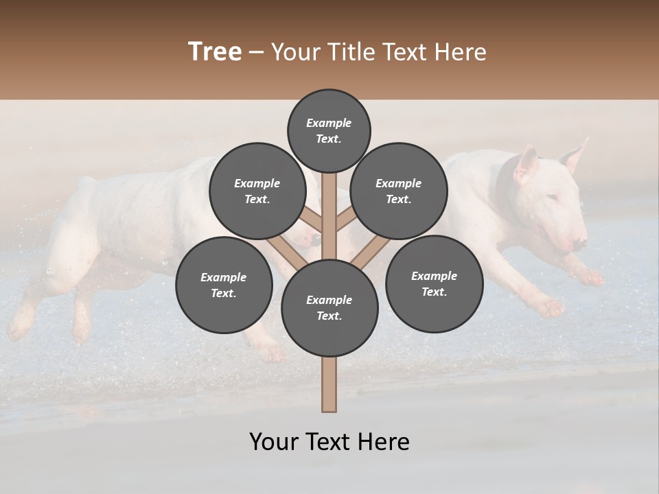 Life Sea Coast PowerPoint Template