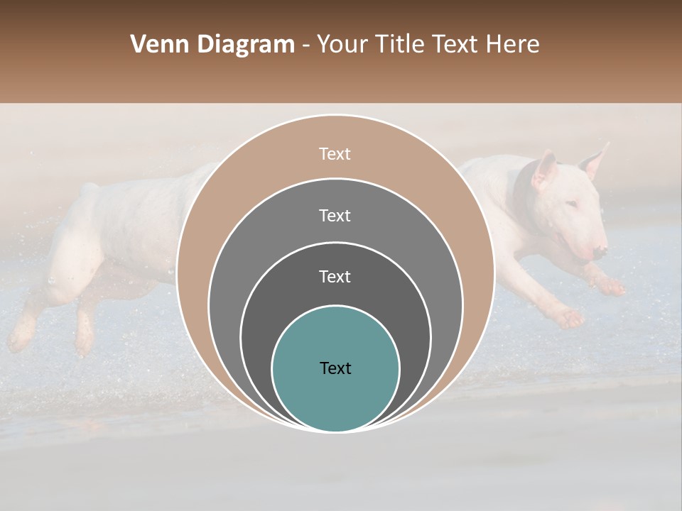 Life Sea Coast PowerPoint Template