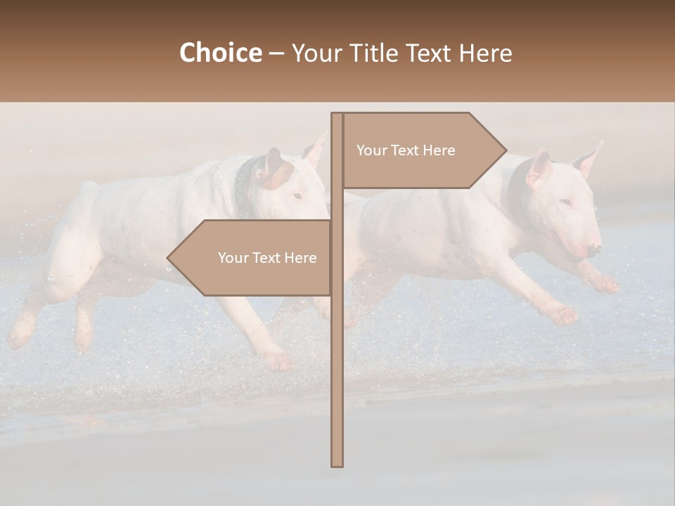 Life Sea Coast PowerPoint Template