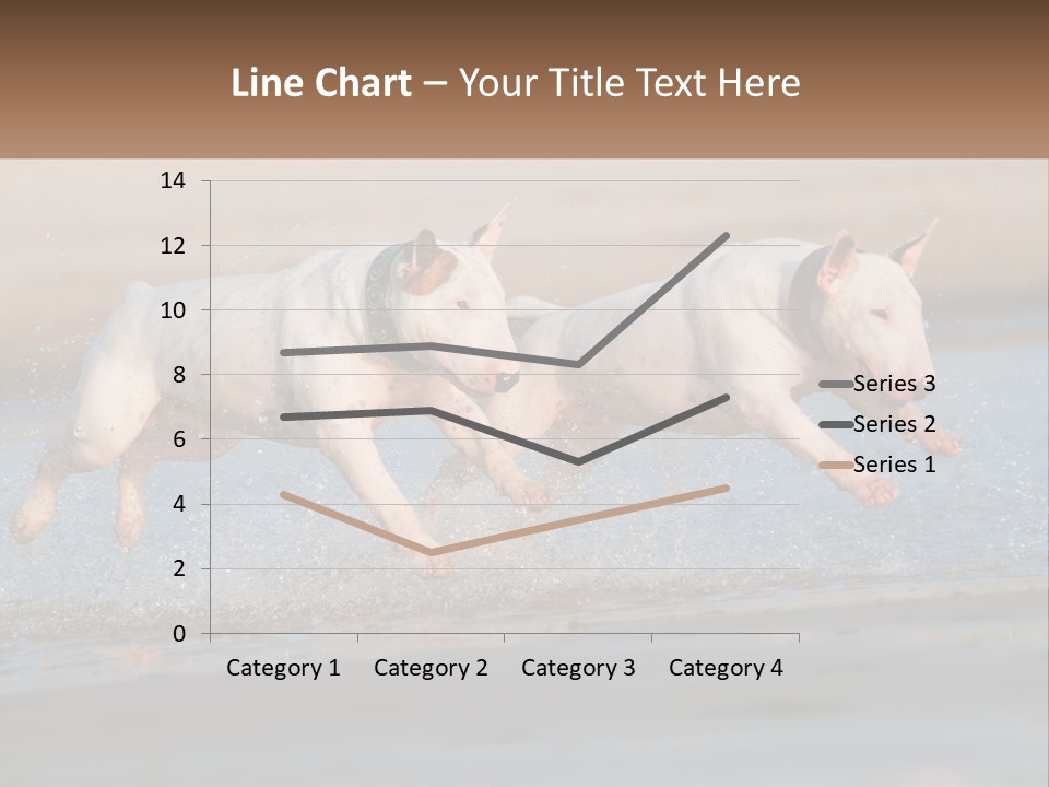 Life Sea Coast PowerPoint Template