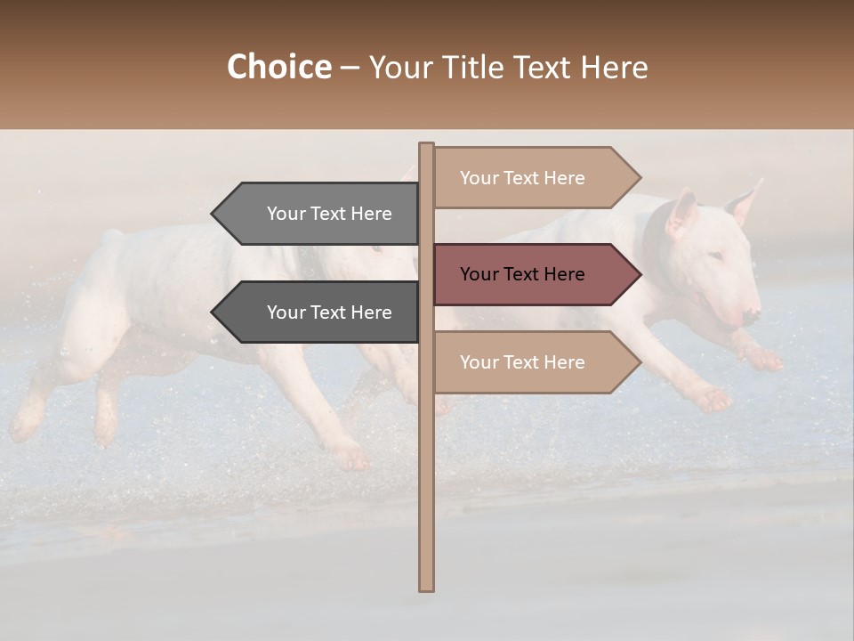 Life Sea Coast PowerPoint Template