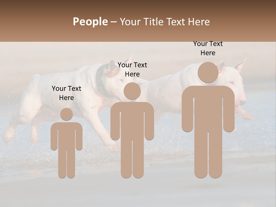 Life Sea Coast PowerPoint Template