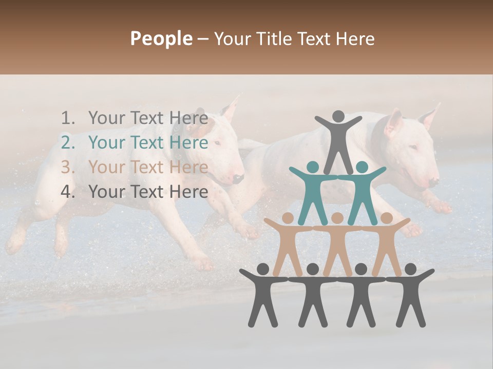 Life Sea Coast PowerPoint Template