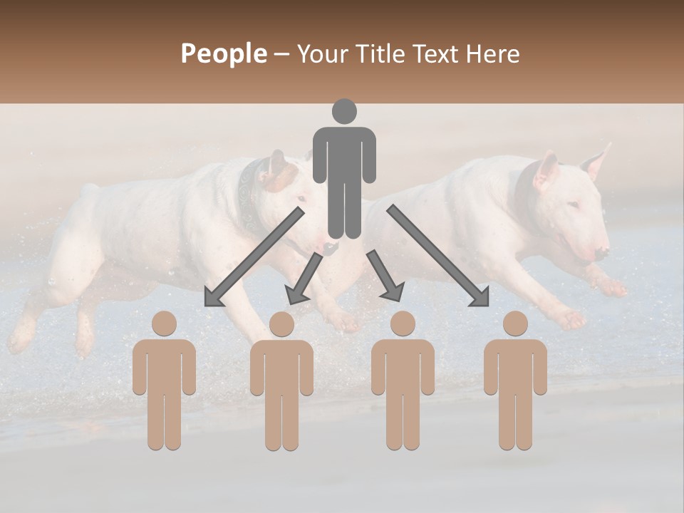 Life Sea Coast PowerPoint Template