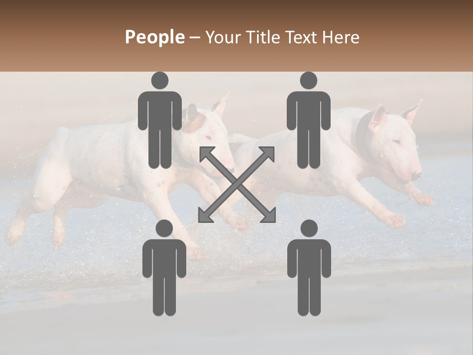 Life Sea Coast PowerPoint Template