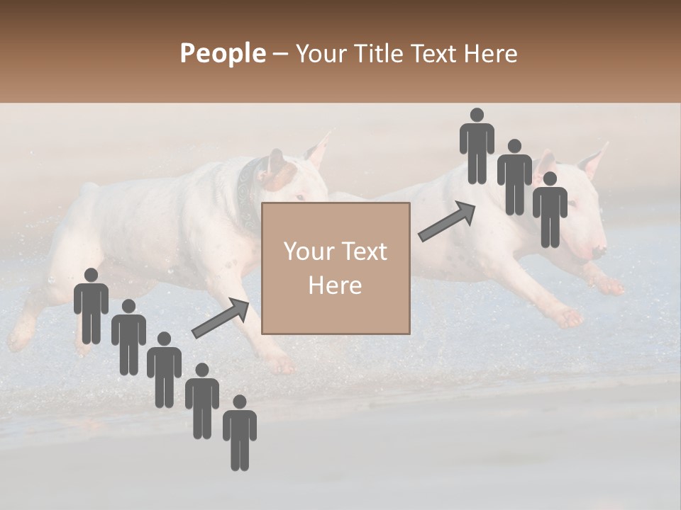 Life Sea Coast PowerPoint Template