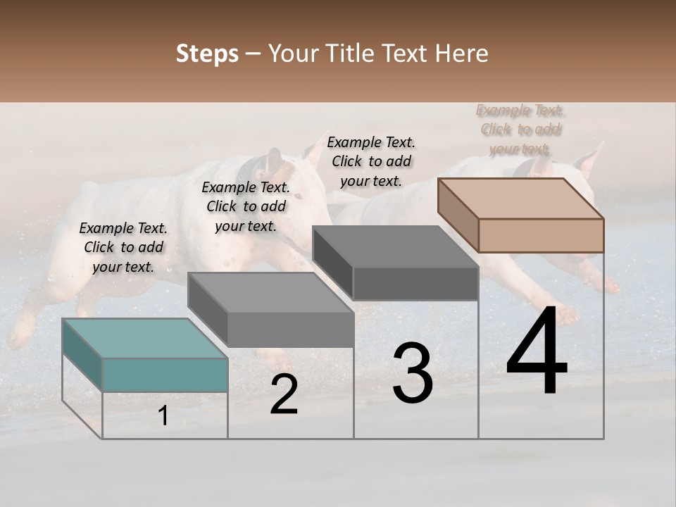 Life Sea Coast PowerPoint Template