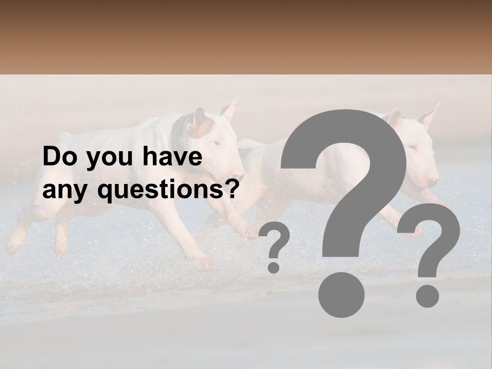 Life Sea Coast PowerPoint Template