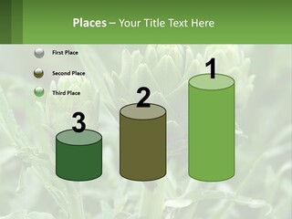 Family Daughter Sand PowerPoint Template