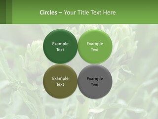 Family Daughter Sand PowerPoint Template