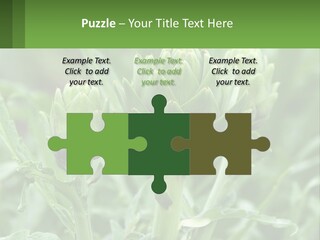 Family Daughter Sand PowerPoint Template