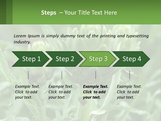 Family Daughter Sand PowerPoint Template