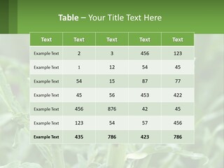 Family Daughter Sand PowerPoint Template