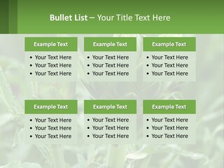 Family Daughter Sand PowerPoint Template