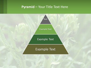 Family Daughter Sand PowerPoint Template