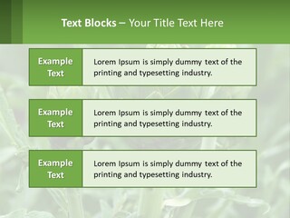 Family Daughter Sand PowerPoint Template