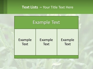 Family Daughter Sand PowerPoint Template
