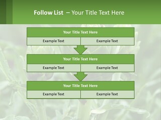 Family Daughter Sand PowerPoint Template