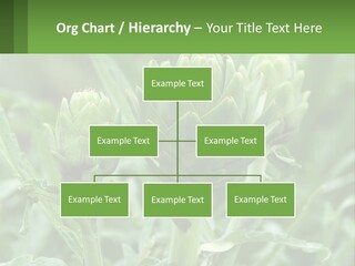 Family Daughter Sand PowerPoint Template