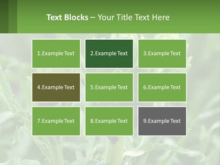 Family Daughter Sand PowerPoint Template