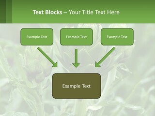 Family Daughter Sand PowerPoint Template