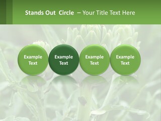 Family Daughter Sand PowerPoint Template