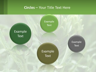 Family Daughter Sand PowerPoint Template