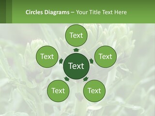 Family Daughter Sand PowerPoint Template