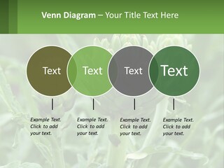 Family Daughter Sand PowerPoint Template