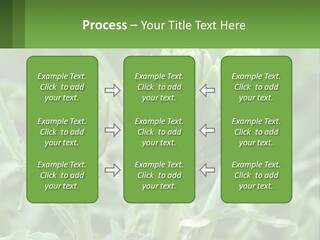 Family Daughter Sand PowerPoint Template