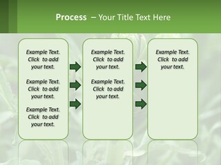 Family Daughter Sand PowerPoint Template