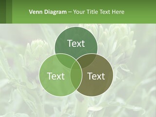 Family Daughter Sand PowerPoint Template