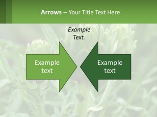 Family Daughter Sand PowerPoint Template