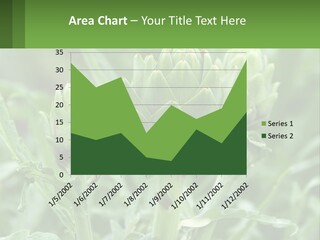 Family Daughter Sand PowerPoint Template