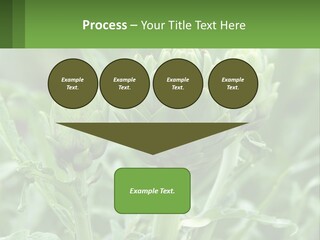 Family Daughter Sand PowerPoint Template