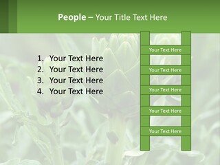 Family Daughter Sand PowerPoint Template