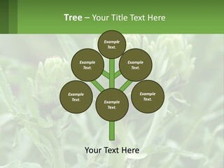 Family Daughter Sand PowerPoint Template