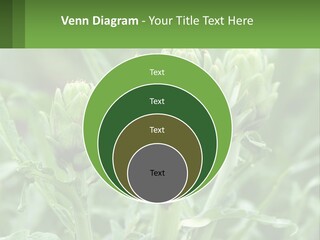 Family Daughter Sand PowerPoint Template