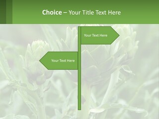 Family Daughter Sand PowerPoint Template