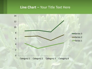 Family Daughter Sand PowerPoint Template