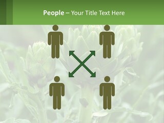 Family Daughter Sand PowerPoint Template