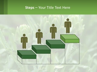 Family Daughter Sand PowerPoint Template