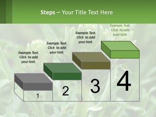 Family Daughter Sand PowerPoint Template