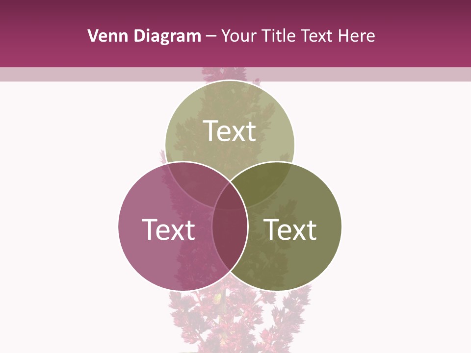 Calm Retirement Ocean PowerPoint Template