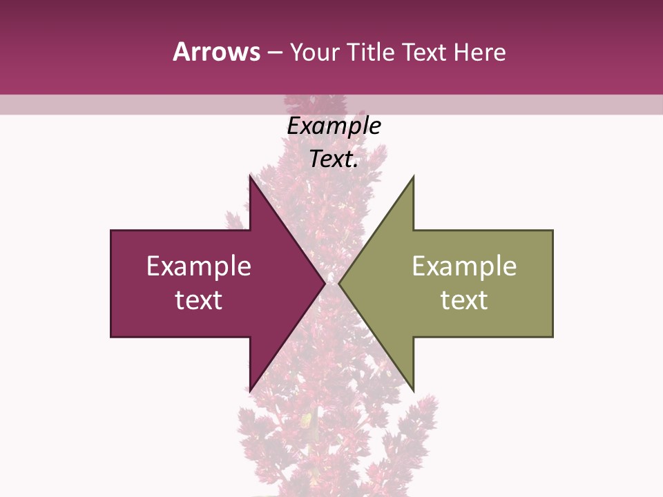 Calm Retirement Ocean PowerPoint Template