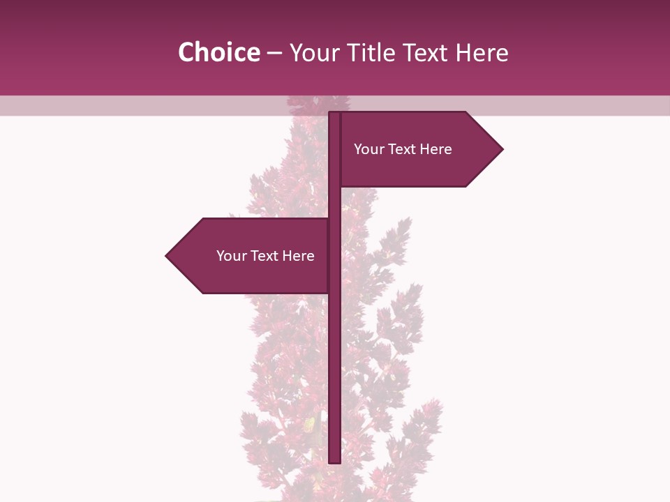 Calm Retirement Ocean PowerPoint Template