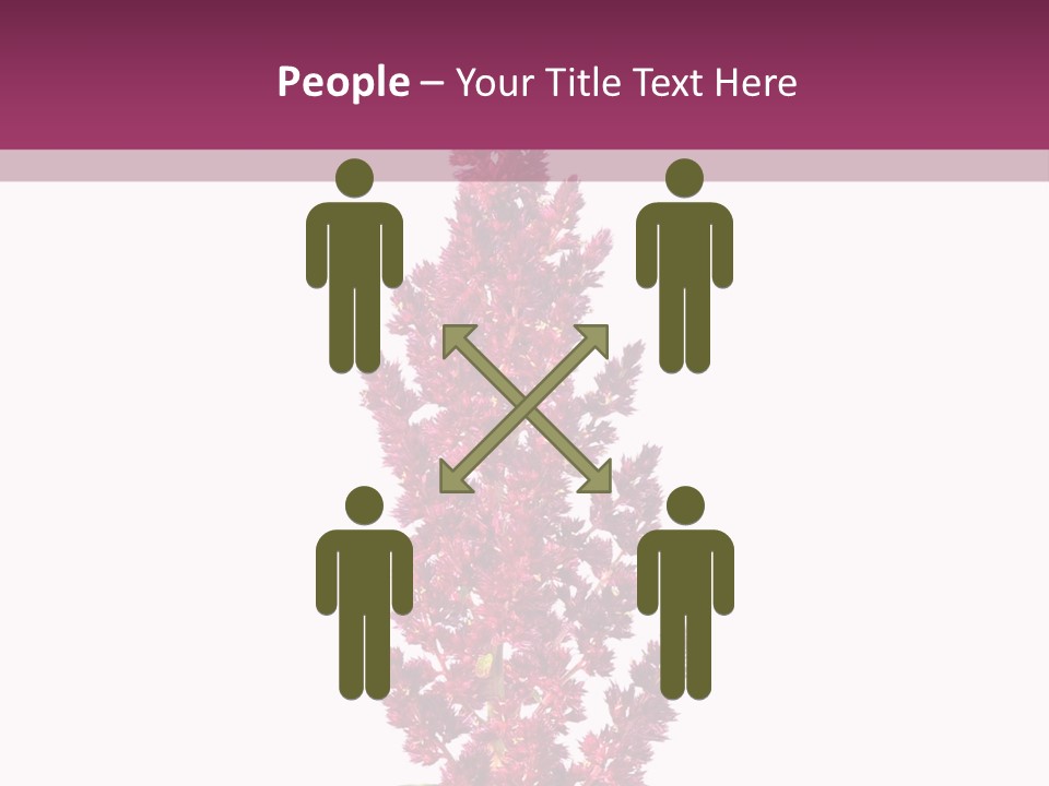 Calm Retirement Ocean PowerPoint Template